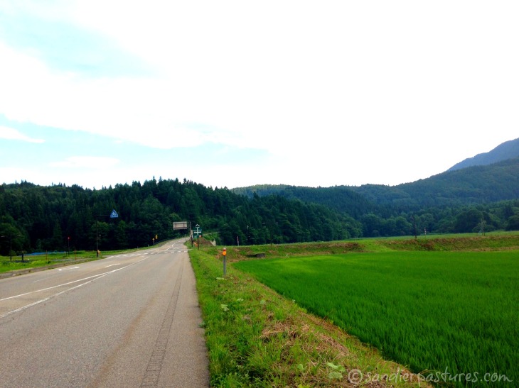 Road to Hakuba
