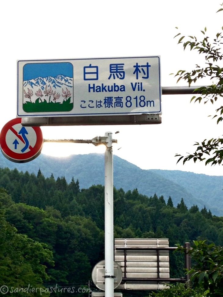 Hakuba elevation