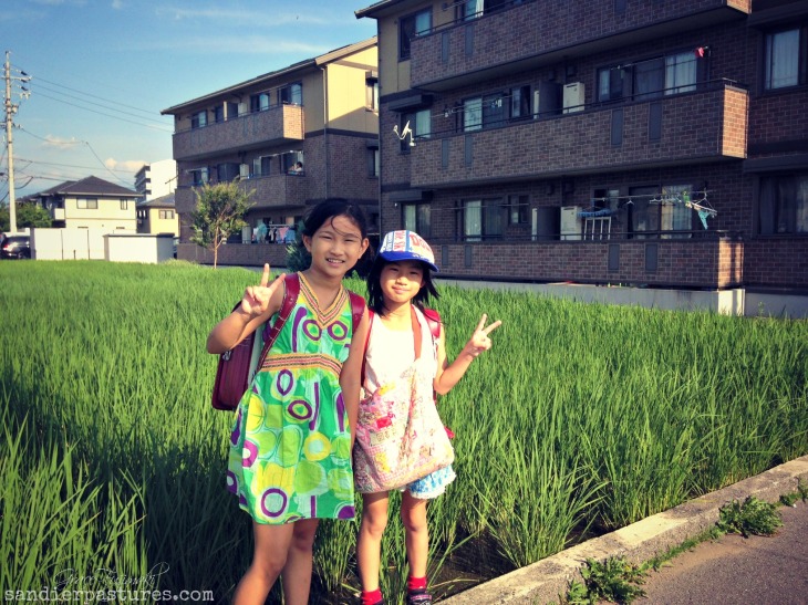walking to school in Japan